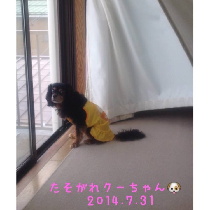 39471784 2022 4f30 84c5 19b3f901bb2b 1529631915383