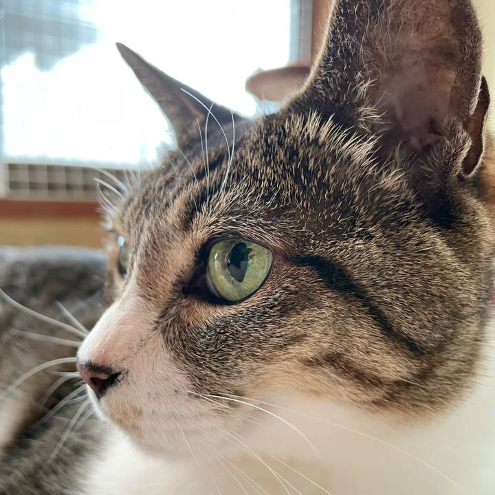 39471d21 ab6d 427b a35b 5ef3031b1a2f 1625882681624