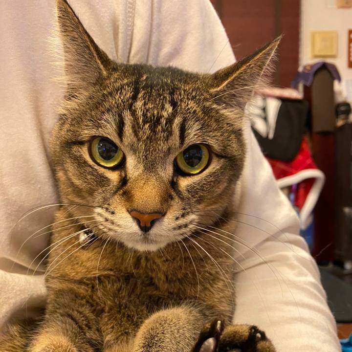 39474a39 7929 4876 823e f757d1daefc5 1587386233342