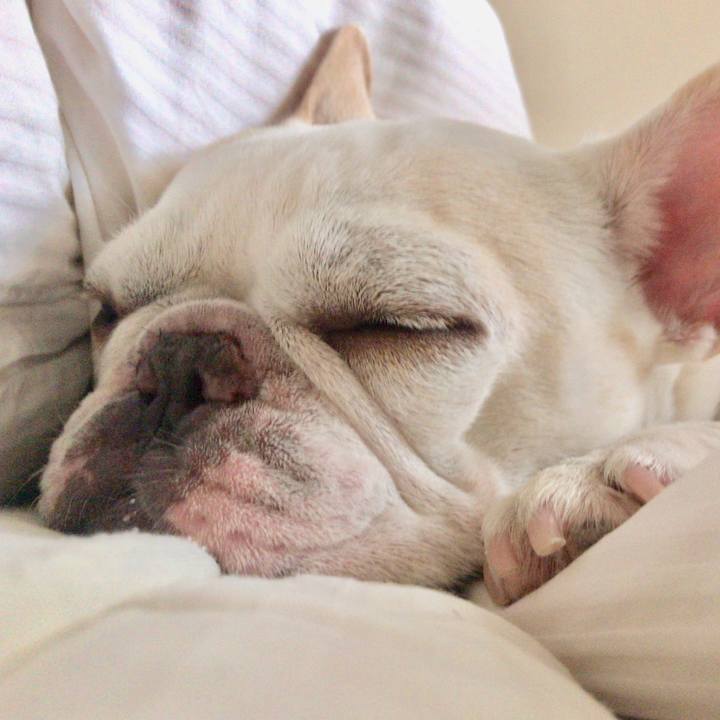 39478a47 e619 4120 b486 c7b2b1cd6707 1539674320248