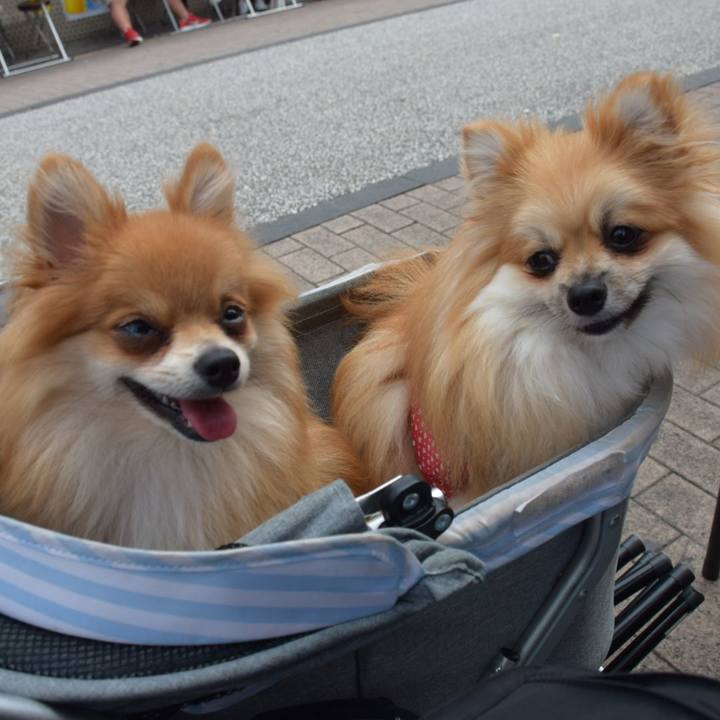 3947eb08 2ca1 4f48 a743 227fffc22067 1537086736284