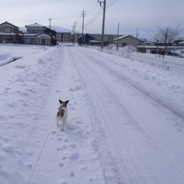 394822a1 ace2 40a0 a51e 34c501fae5a1 1518258197912