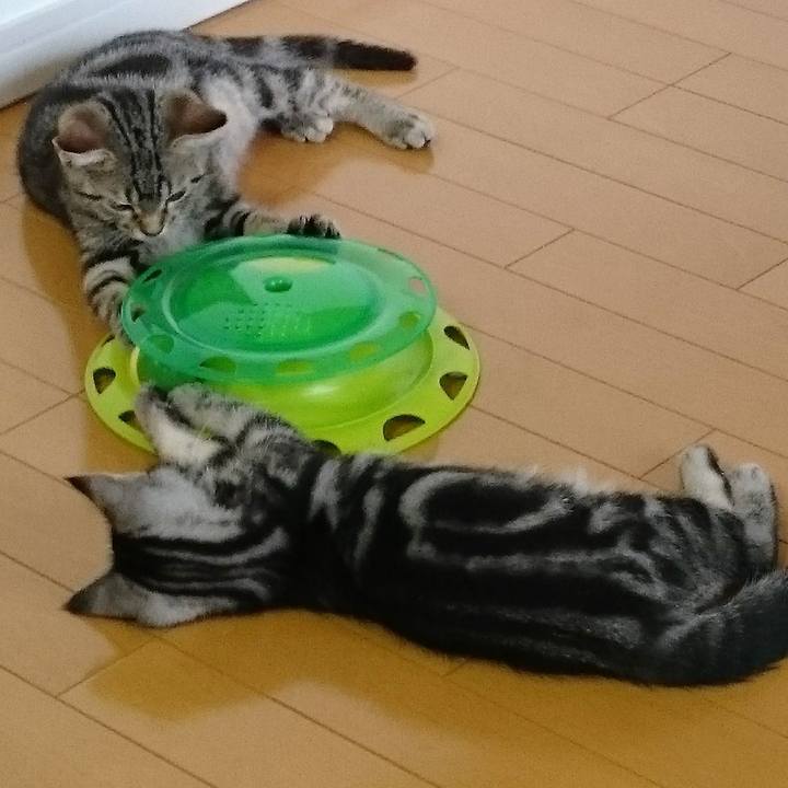 39482c5e ab27 43a8 b6a4 2c016913504a 1619084846327