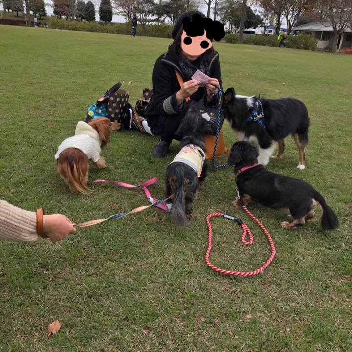 39486553 a272 4dc5 954a ee075ba5bb05 1543091795598