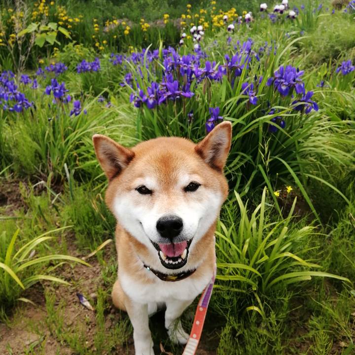 39489148 0a29 4bd9 b7b2 b6f6dad80d97 1683356810652