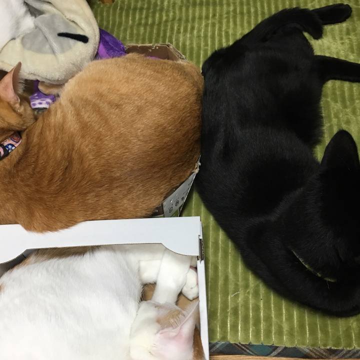 39489310 47fb 4386 be5b 6e20b5703015 1547294014596