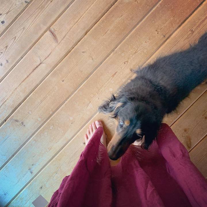 3948bbfc 0632 43d2 aa8e 2f66e6b22d73 1627705045068