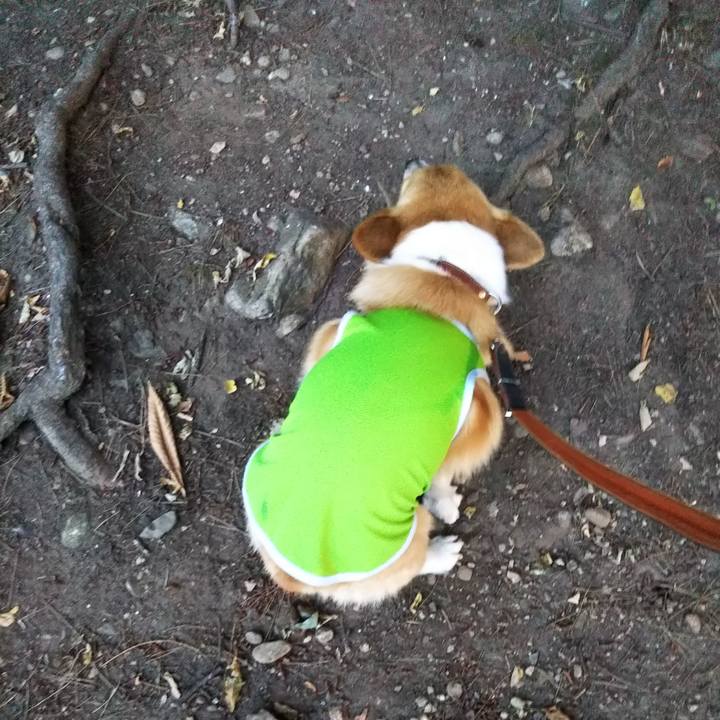 3948e4c6 a31a 42fc b559 f8ce0acbe6ab 1532603205414