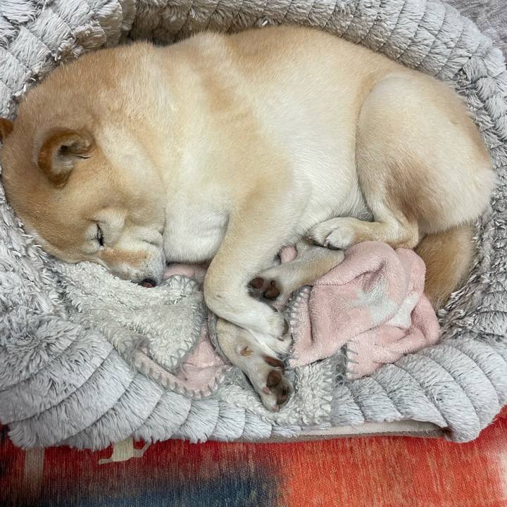 3948eb1c 5c48 4de5 aaa3 5d460aeb4f39 1734609540741