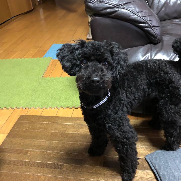 3948ed52 ff79 4b1a b2d1 33ec2cd03fd1 1516747085605