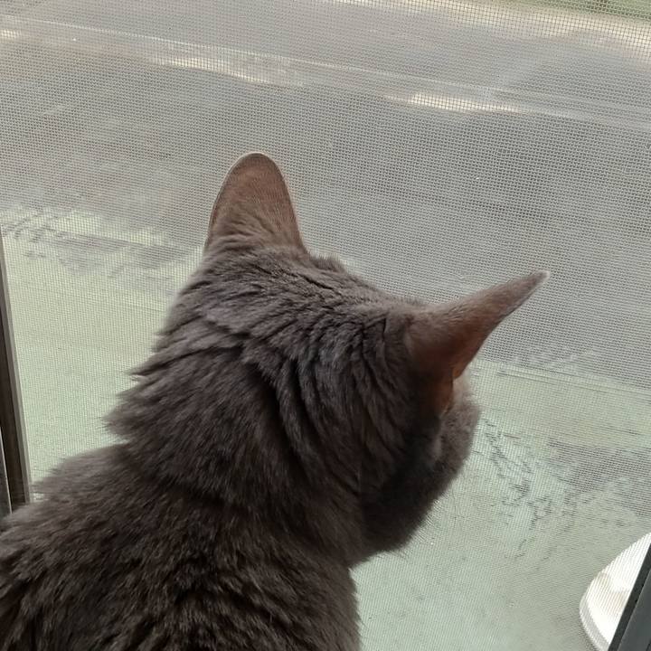 39490ed4 3bb5 4b9a adca fc9b1affcc8f 1683703005508