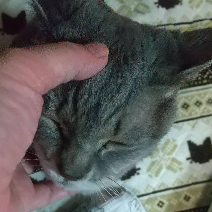 394991f1 87e0 42e0 b202 bc21e7483e33 1672355589995