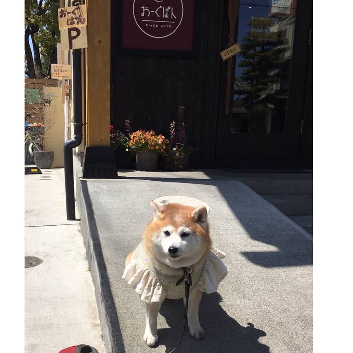 3949f949 78d4 4ac3 bc2d b82c45ffbf54 1586582224220