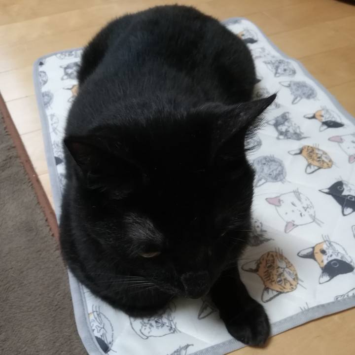 394a02e5 2f0b 4e1c b626 db38cd6e2145 1715122178189