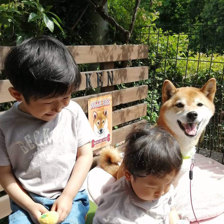 394a44db 2f1b 4d64 a1a1 7b68ec4d6e68 1651998654190