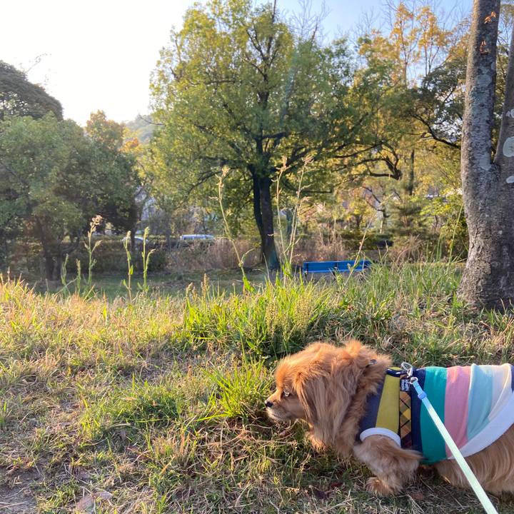 394a4845 f4fa 40f2 bf7d acade75c9b00 1649712331479