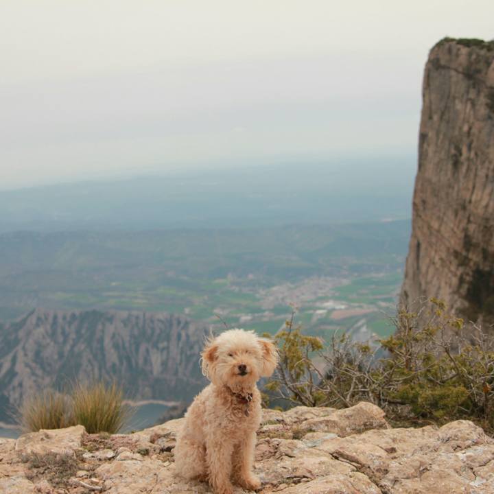 394a54f8 3b6a 4deb a4e6 eba5250aba7d 1556469907136