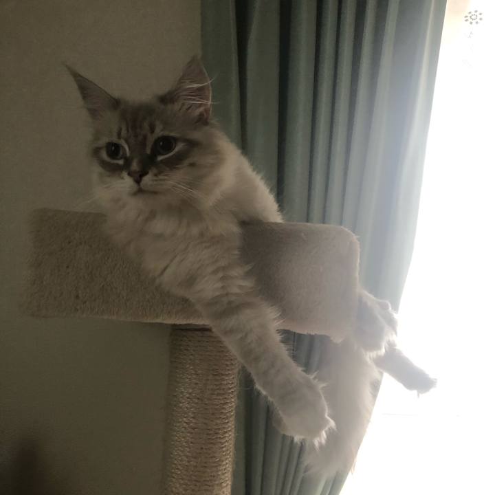 394a7088 5cb3 4d23 9b15 10005833bf8a 1686862173393