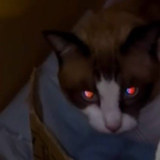 394a817c cdda 49dc b7db 30cb0e459df1 1758016137849