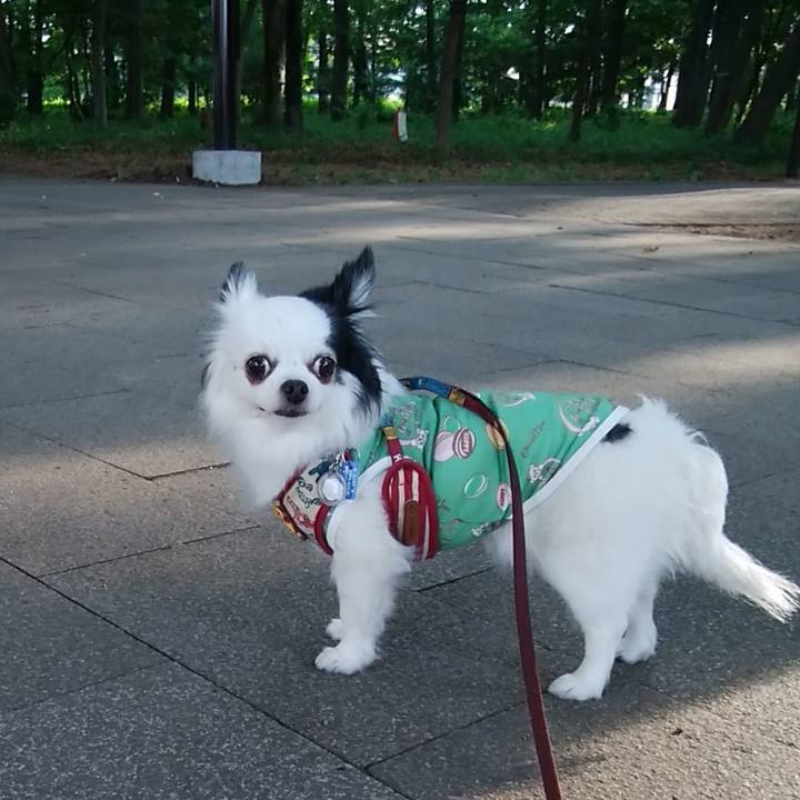 394ac9e6 66f9 49a2 b527 7643cc380d8f 1529187713902