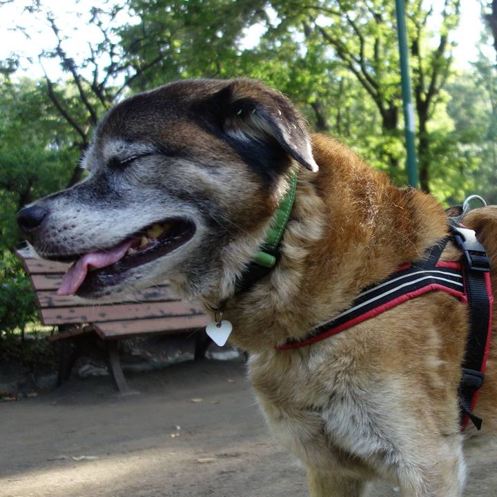 394ad293 8d50 4953 9402 3e2974884f2c 1565393779500