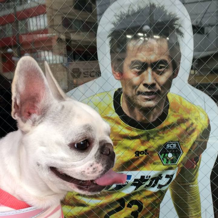 394ae2e4 5685 4388 9ae3 67b127962d59 1523280663806