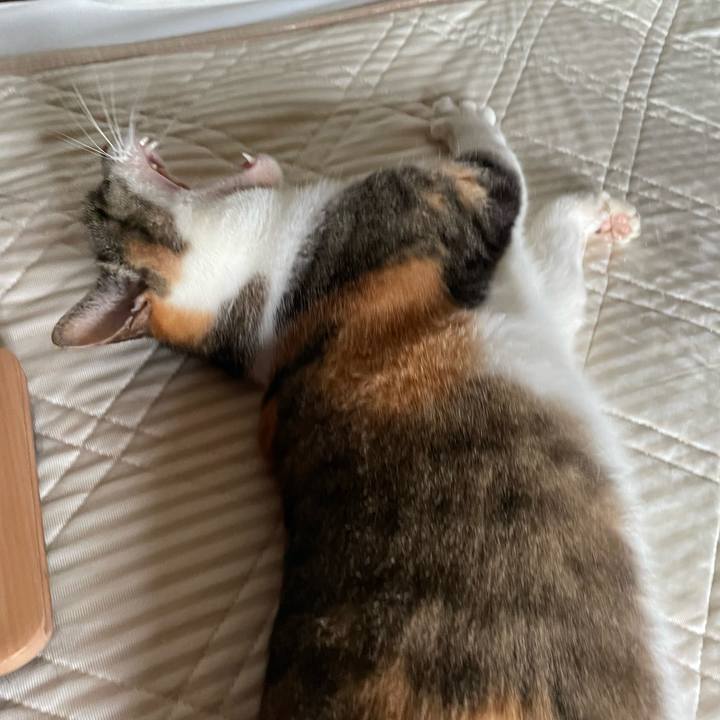 394b102b 2000 4d08 90de a2b6fe3e249e 1686713405498