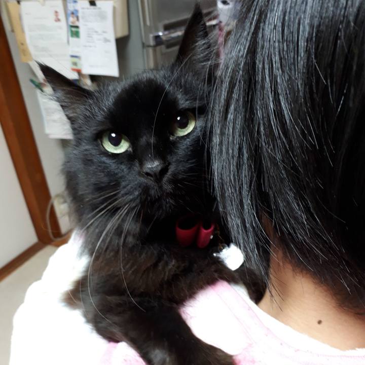 394b10e3 a143 4608 abba f1e48d1bd3f5 1518611230204