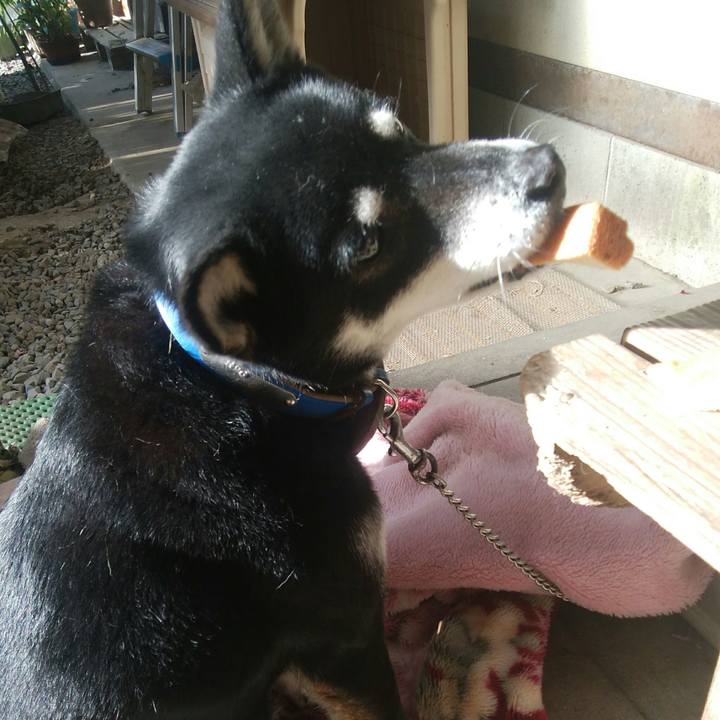 394b5c92 2d66 490f 8a4d d8b2d47390c8 1513989740676