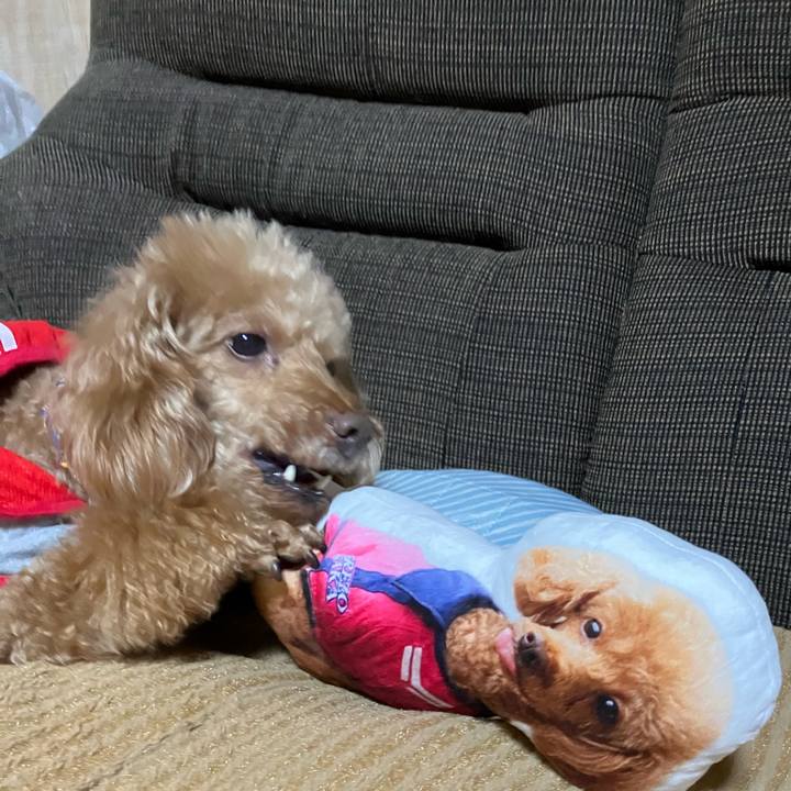 394b796d d4a3 43e5 b306 238616113b5b 1650984114319