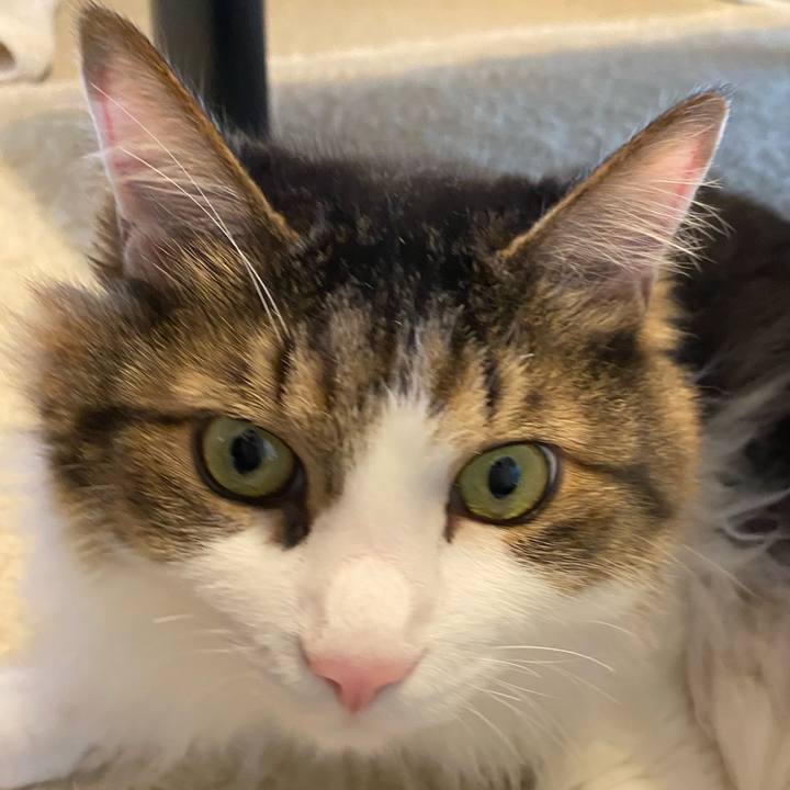 394b80f8 4cce 4077 a8cf f37ef9b88813 1667778116620