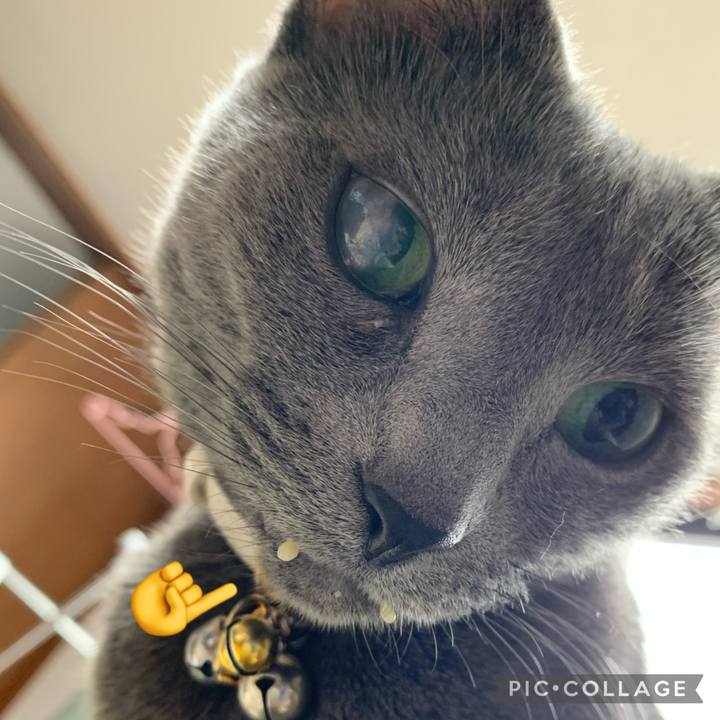 394b9751 88d0 4b66 ac5d 119ef6c72157 1679137359519