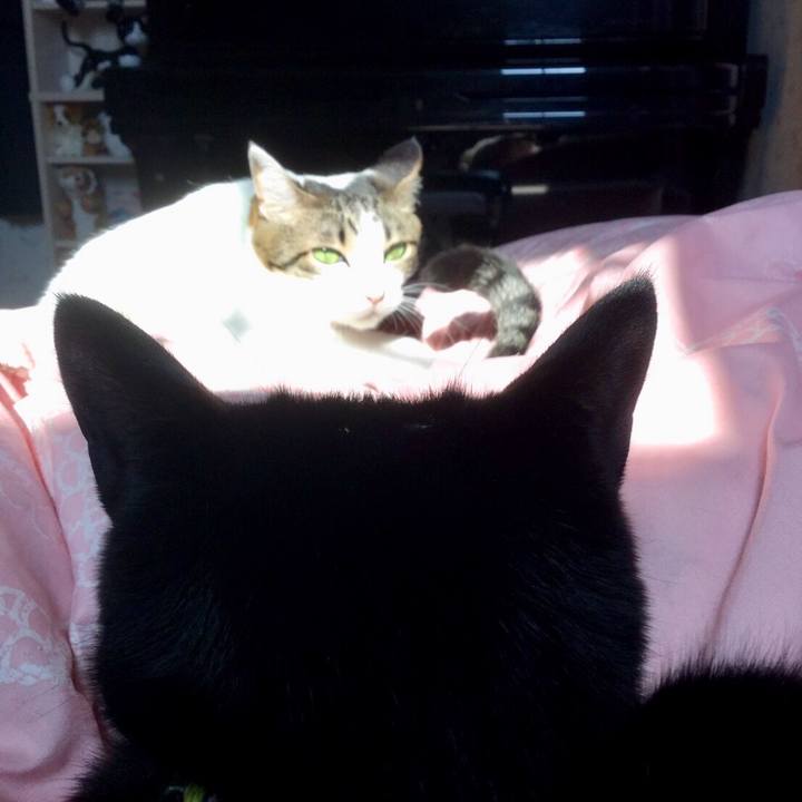 394bcb9d b1e0 4b11 8864 9d1d867a2d71 1553699058380