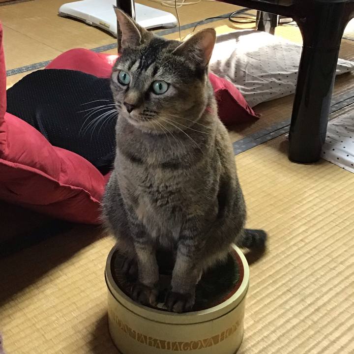 394bdca8 9275 409a 93be 1401a1c73de7 1631522618596