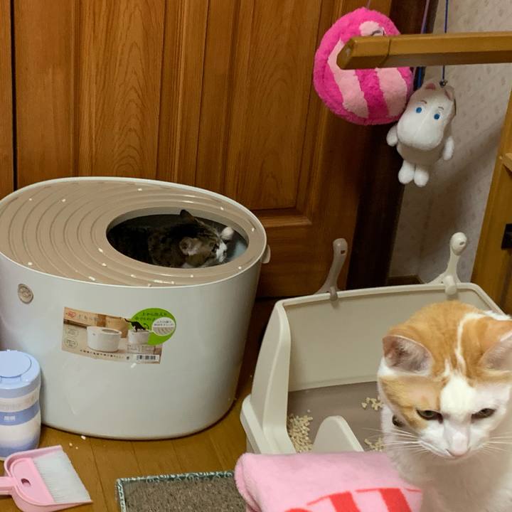 394bf71f 93b3 4e1a 8439 fe2970a5b0fc 1570909871154