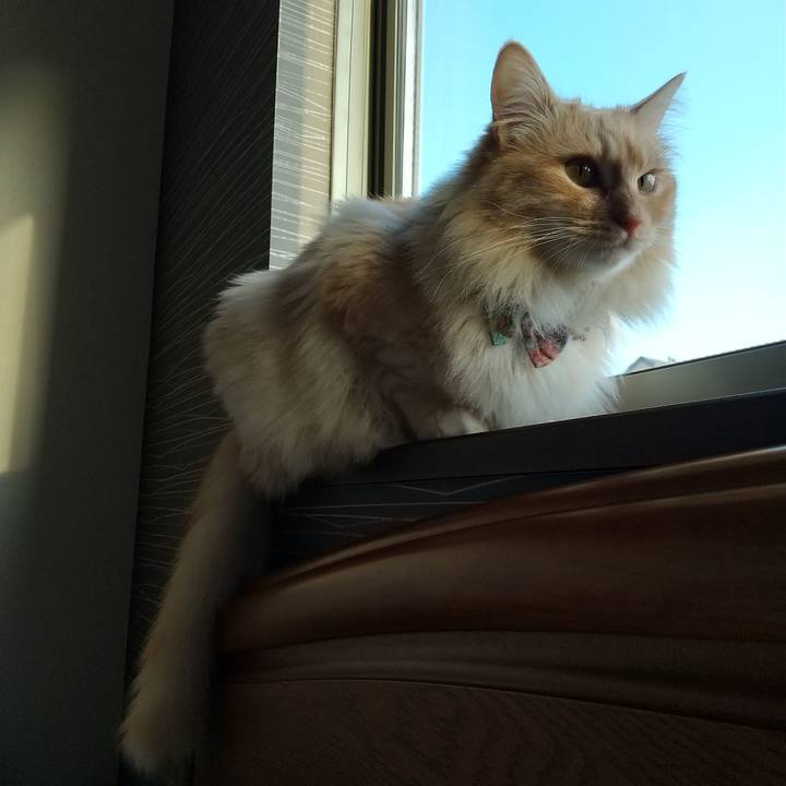 394bfb7f 1e32 4d0b 941b 7e21489b7de5 1649465334399