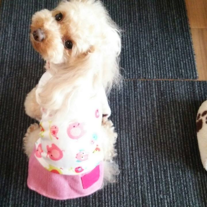 394c3103 b100 4f9e 84c8 aeb6400fcafd 1519947711775