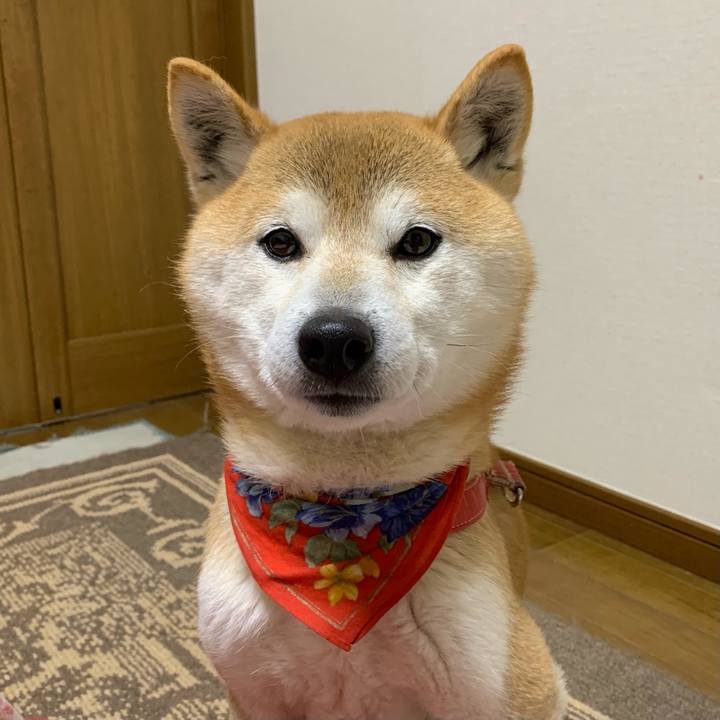 394c62c3 4604 4130 9491 d24adc95c885 1614931229017