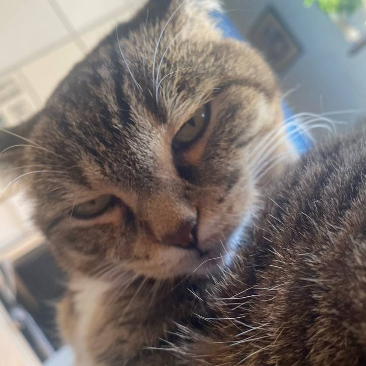 394c9777 05ee 493c befd cfebf43f031b 1702089592007