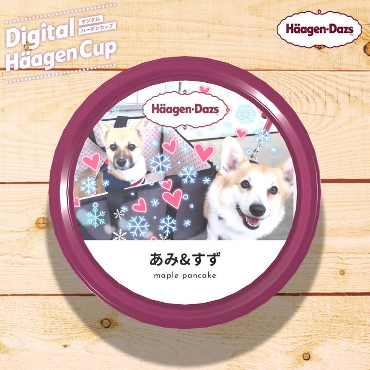 394cd551 0b09 4a14 8f3c 11d23056742d 1609065354308