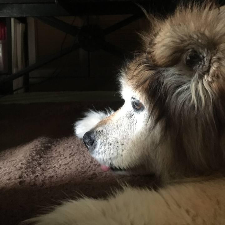 394ceeb5 fcca 456a a634 96cb79b91ec5 1603866446743