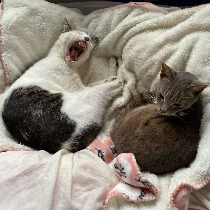 394cf498 847f 4ec3 8539 e63f48b5a5b6 1625842264651