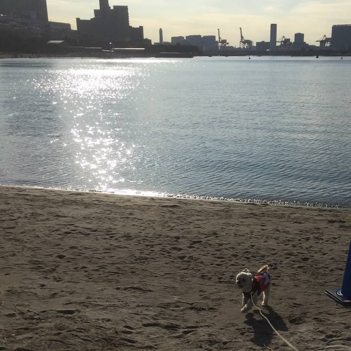 394d0216 3edf 4aa4 ac99 57b1e6cbbbd1 1512474547241