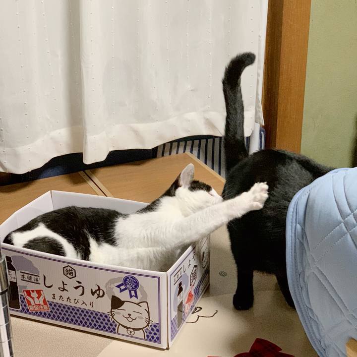 394d2c05 3d78 48b4 b3d0 361e03dc032e 1540260445621