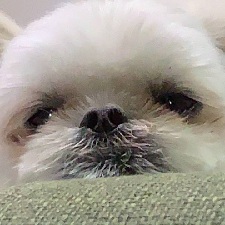 394d2dc2 5ed2 4840 a894 7bdee7afaabd 1694787241706