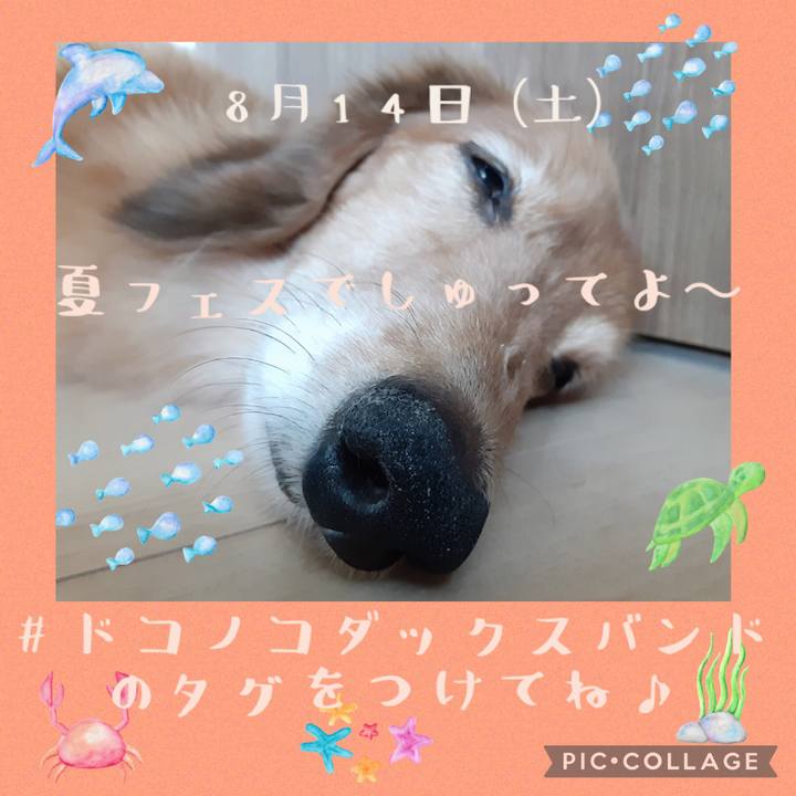 394d4913 3657 42fe ada2 bbe58ea01fa8 1628325978393