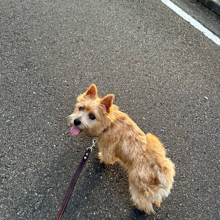 394d5702 1067 4579 9275 75d35cf5868e 1722475810441