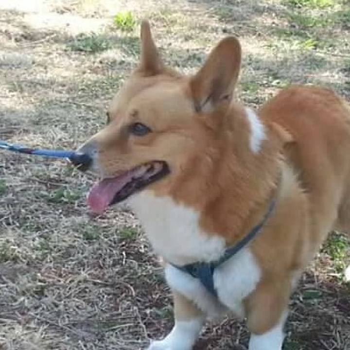 394d7883 a157 4c0d 9766 f59ba37b9d2e 1508129104818