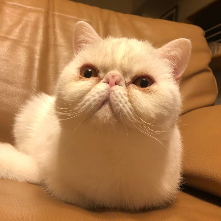 394d93bb de4a 4bee ae6b ea23a812d9ba 1612606262950