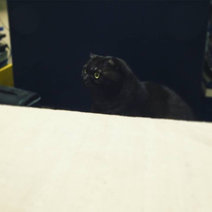 394da792 e4c1 4271 81da 58574a867c11 1552185762392